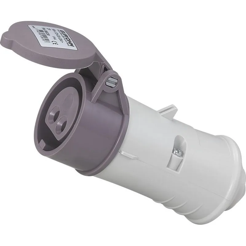 Prise industrielle mobile droite 2P 16A 24V AC IP44 (66039)